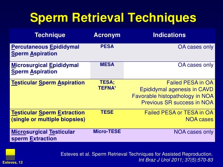 Kamp-rite midget bushtrekka Sperm retrevial after prostatectomy